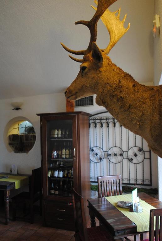 Hotel Allvet Drnovice  Luaran gambar